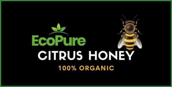 Citrus Honey Natural Organic Honey in Pakistan